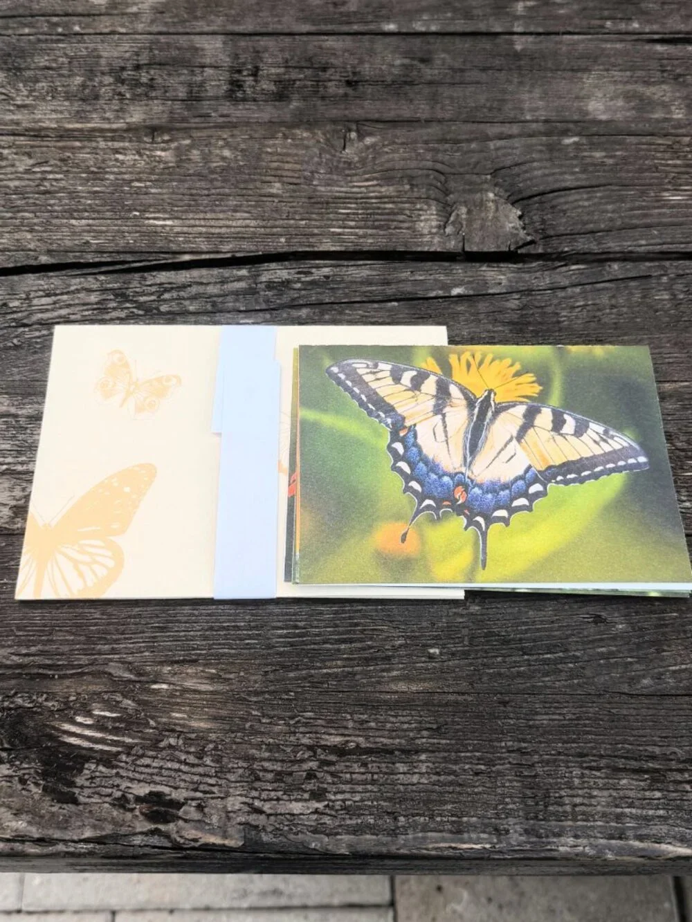 4 Vintage ENVIRONMENTAL DEFENSE FUND Monarch Butterflies Habitat Greeting Cards